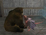 EQ2くまとちびどら